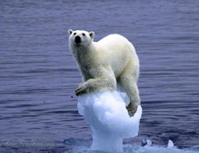 Réchauffement Climatique en Images 4 global warming Réchauffement Climatique en Images