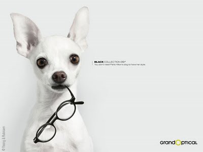 Grand Optical Black Collection : Pub Lunettes 2010 grandoptical lunettes pub 1 Grand Optical Black Collection : Pub Lunettes 2010