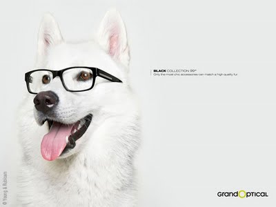 Grand Optical Black Collection : Pub Lunettes 2010 grandoptical lunettes pub 3 Grand Optical Black Collection : Pub Lunettes 2010