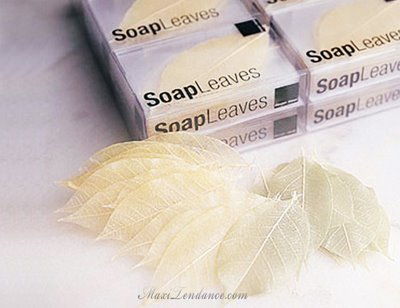 Soap Leaves : Feuilles de Savon soap leaves2 Soap Leaves : Feuilles de Savon