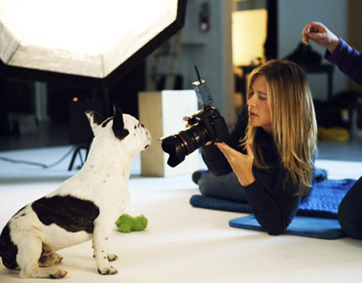 Sharon-Montrose-Animals-Print-14 Sharon Montrose Animals Print 14 Sharon Montrose : Photos Portraits Minimalistes dAnimaux