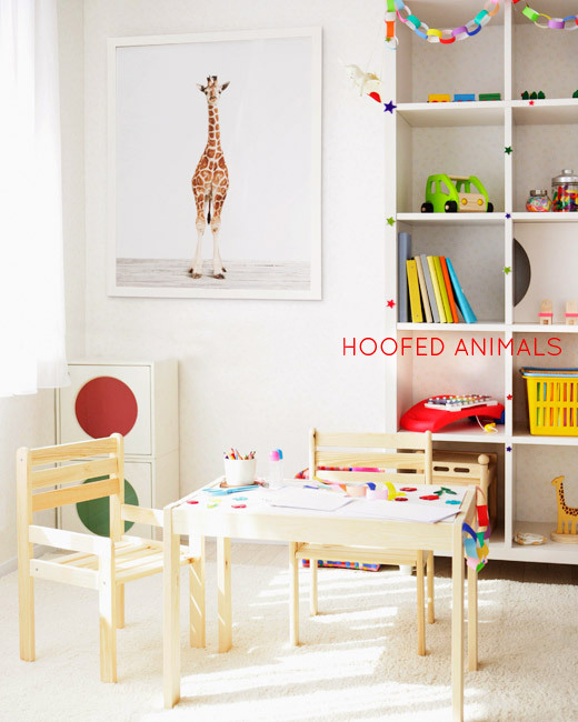 Sharon-Montrose-Animals-Print-7 Sharon Montrose Animals Print 7 Sharon Montrose : Photos Portraits Minimalistes dAnimaux