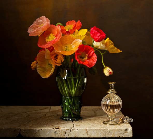 Kevin-Best-Photographie-Art-4 Kevin Best Photographie : Natures Mortes bien Vivantes