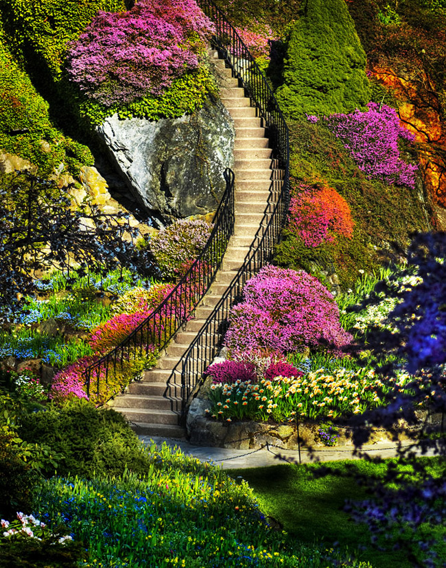 Butchart-Gardens-Canada-02 Butchart Gardens Canada 02 Butchart Gardens : Luxuriant Jardin au Canada