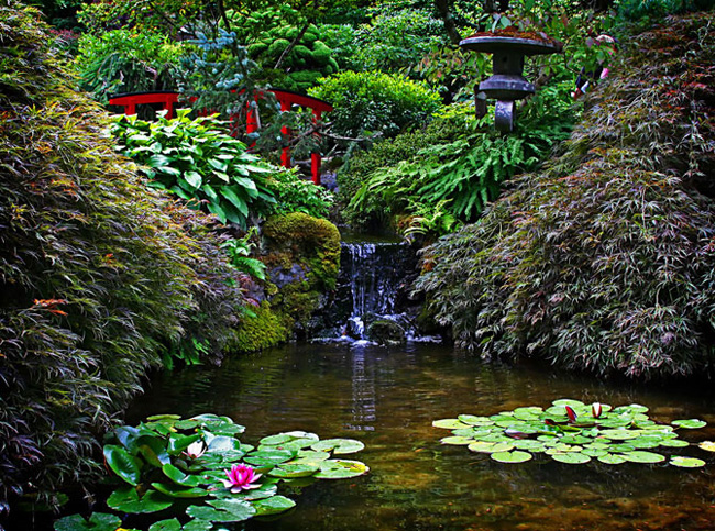 Butchart-Gardens-Canada-04 Butchart Gardens Canada 04 Butchart Gardens : Luxuriant Jardin au Canada