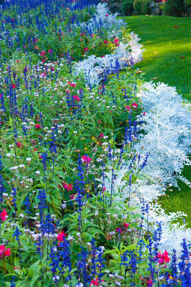 Butchart-Gardens-Canada-08 Butchart Gardens Canada 08 Butchart Gardens : Luxuriant Jardin au Canada