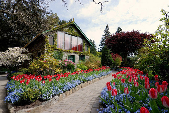 Butchart-Gardens-Canada-09 Butchart Gardens Canada 09 Butchart Gardens : Luxuriant Jardin au Canada