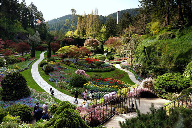 Butchart-Gardens-Canada-10 Butchart Gardens Canada 10 Butchart Gardens : Luxuriant Jardin au Canada