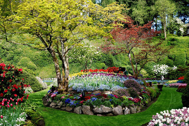 Butchart-Gardens-Canada-11 Butchart Gardens Canada 11 Butchart Gardens : Luxuriant Jardin au Canada