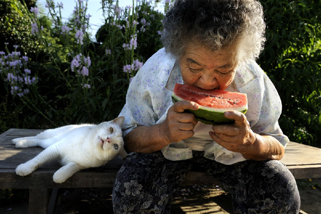 10 Chat Fukumaru et Misao la Grand Mere Fukumaru le Chat et Misao la Grand Mere des Amis pour la Vie