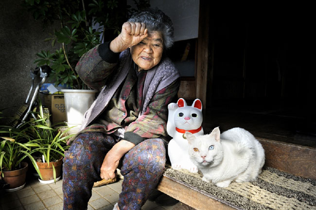 12 Chat Fukumaru et Misao la Grand Mere Fukumaru le Chat et Misao la Grand Mere des Amis pour la Vie