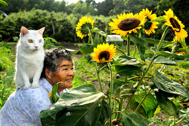 19 Chat Fukumaru et Misao la Grand Mere Fukumaru le Chat et Misao la Grand Mere des Amis pour la Vie