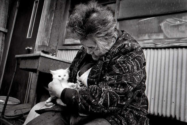 2 Chat Fukumaru et Misao la Grand Mere Fukumaru le Chat et Misao la Grand Mere des Amis pour la Vie