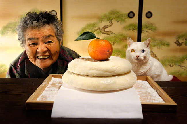 20 Chat Fukumaru et Misao la Grand Mere Fukumaru le Chat et Misao la Grand Mere des Amis pour la Vie