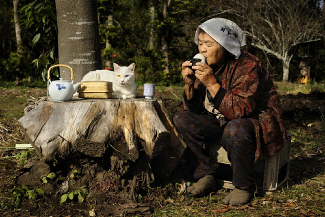 3 Chat Fukumaru et Misao la Grand Mere Fukumaru le Chat et Misao la Grand Mere des Amis pour la Vie