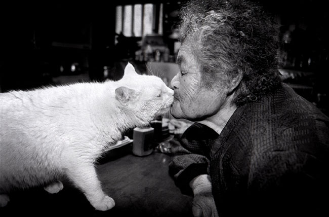 6 Chat Fukumaru et Misao la Grand Mere Fukumaru le Chat et Misao la Grand Mere des Amis pour la Vie