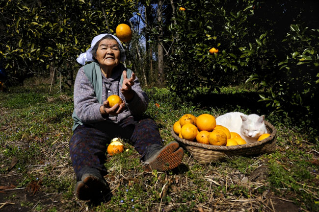 7 Chat Fukumaru et Misao la Grand Mere Fukumaru le Chat et Misao la Grand Mere des Amis pour la Vie