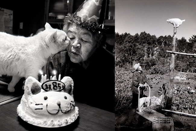 8 Chat Fukumaru et Misao la Grand Mere Fukumaru le Chat et Misao la Grand Mere des Amis pour la Vie