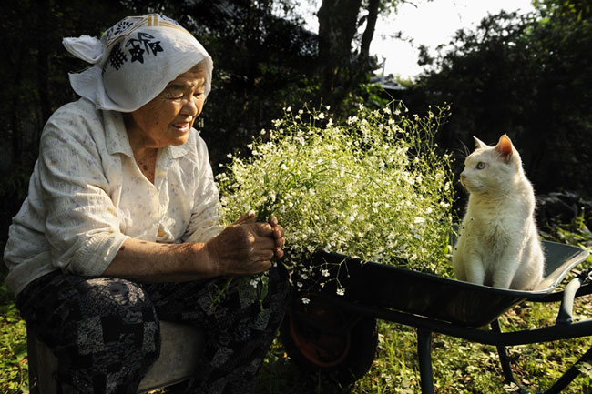 9 Chat Fukumaru et Misao la Grand Mere Fukumaru le Chat et Misao la Grand Mere des Amis pour la Vie