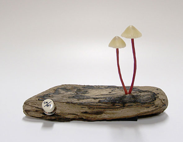 Lampes LED par Yukio Takano : Petits Champignons sur Bois 10 Lampe Champignon LED Mushroo Yukio Takano Lampes LED par Yukio Takano : Petits Champignons sur Bois