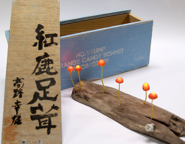 Lampes LED par Yukio Takano : Petits Champignons sur Bois 2 Lampe Champignon LED Mushroo Yukio Takano Lampes LED par Yukio Takano : Petits Champignons sur Bois