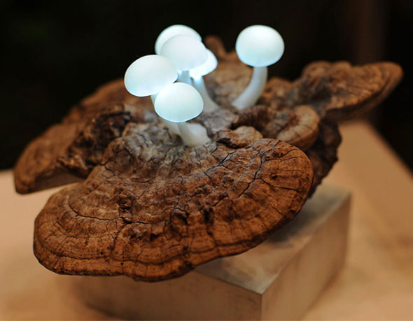 Lampes LED par Yukio Takano : Petits Champignons sur Bois 8 Lampe Champignon LED Mushroo Yukio Takano Lampes LED par Yukio Takano : Petits Champignons sur Bois