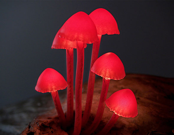 Lampes LED par Yukio Takano : Petits Champignons sur Bois 9 Lampe Champignon LED Mushroo Yukio Takano Lampes LED par Yukio Takano : Petits Champignons sur Bois