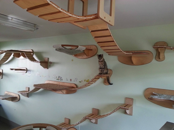 etagere murale pour chat