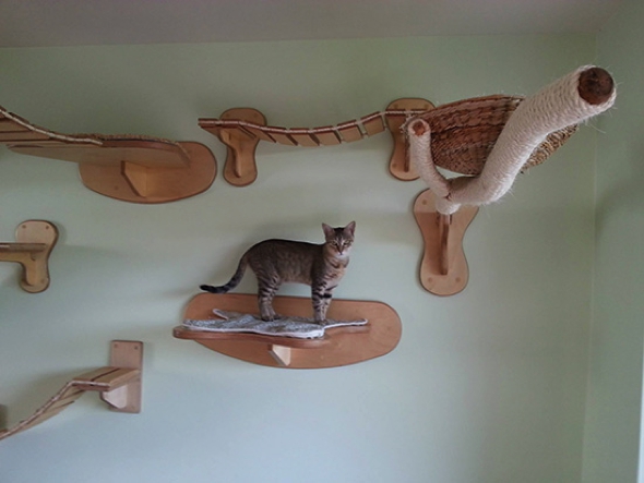 etagere murale chat