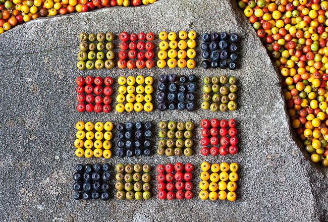 1-Land-Art-Richard-Shilling Land Art par Richard Shilling : Sculpture et Installation Nature