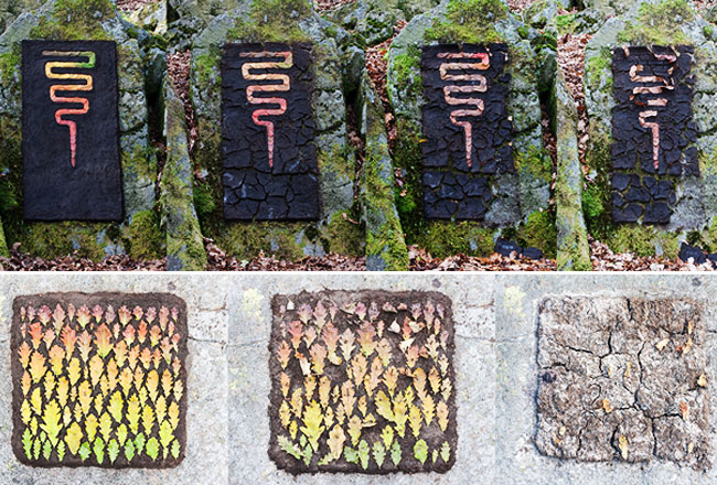 10-Land-Art-Richard-Shilling Land Art par Richard Shilling : Sculpture et Installation Nature