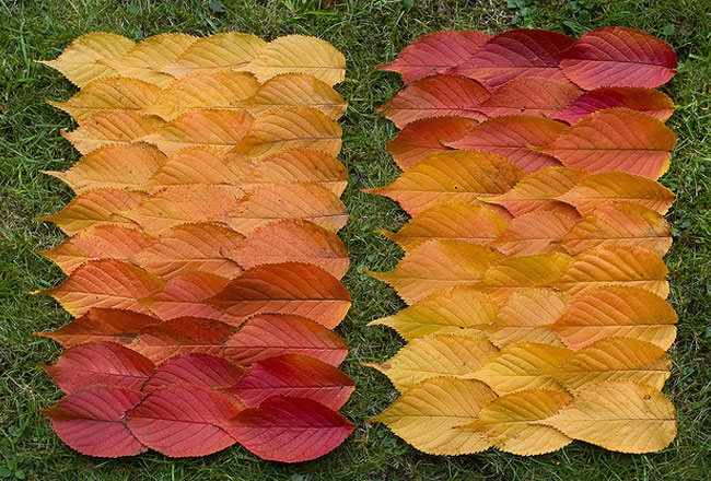2-Land-Art-Richard-Shilling Land Art par Richard Shilling : Sculpture et Installation Nature