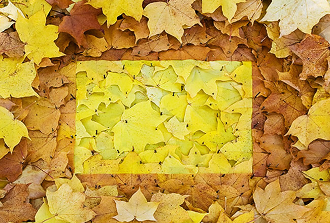 5-Land-Art-Richard-Shilling Land Art par Richard Shilling : Sculpture et Installation Nature