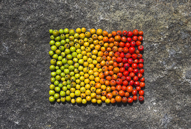 6-Land-Art-Richard-Shilling Land Art par Richard Shilling : Sculpture et Installation Nature