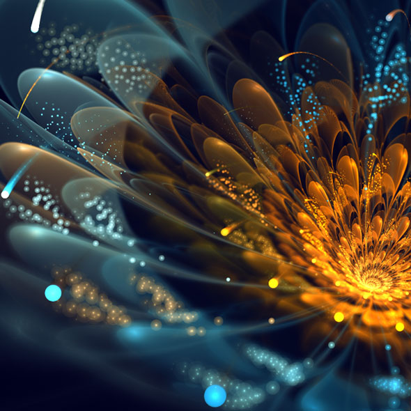 Silvia Cordedda : Spectaculaires Fleurs Fractales en 3D