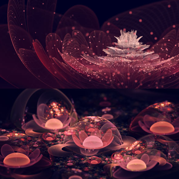 Silvia Cordedda : Spectaculaires Fleurs Fractales en 3D