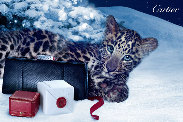 8-Pub-Ad-Cartier-Winter-Tale Bijoux Cartier Winter Tale