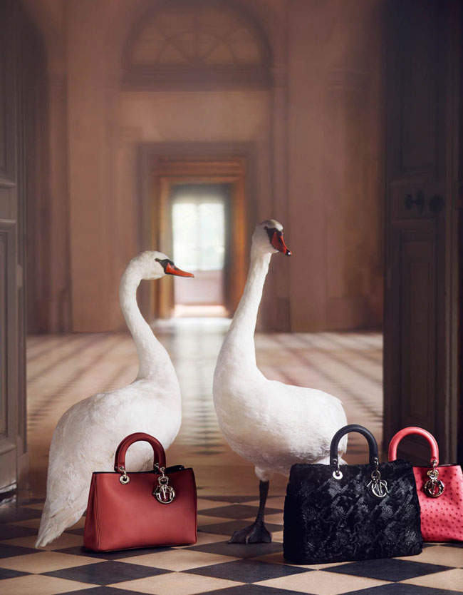 An Exceptional Christmas - Campagne Dior Noel 2012