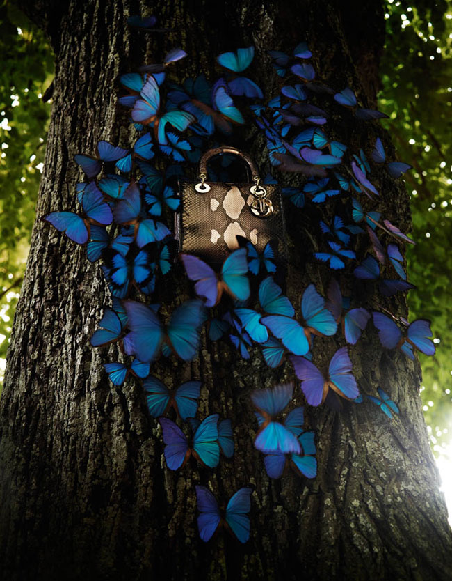 An Exceptional Christmas - Campagne Dior Noel 2012