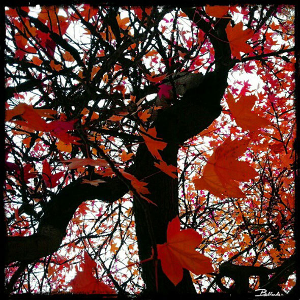 6-Bellanda-Paris-Photo-Instacanvas Bellanda in Paris Photographies : Paris me Voici !