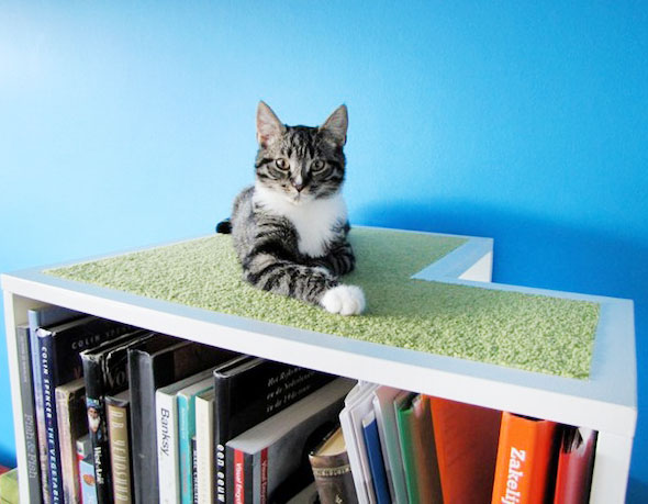 1-Bibliotheque-Chat-UrbanCatDesign UrbanCatDesign : La Bibliotheque Arbre Chat Livres