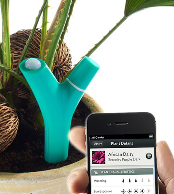 2-Parrot-Flower-Power-iPhone Parrot Flower Power - Surveillez vos Plantes sur votre iPad ou iPhone