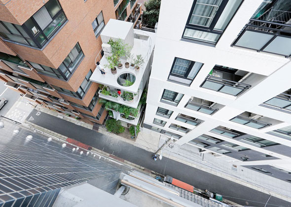 2-jardin-maison-ryue-nishizawa Maison et Jardin par l'Architecte Ryue Nishizawa Tokyo
