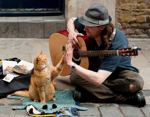 James Bowen & Bob The Street Cat : Conte de Fées Londonien