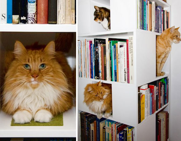 4-Bibliotheque-Chat-UrbanCatDesign UrbanCatDesign : La Bibliotheque Arbre Chat Livres