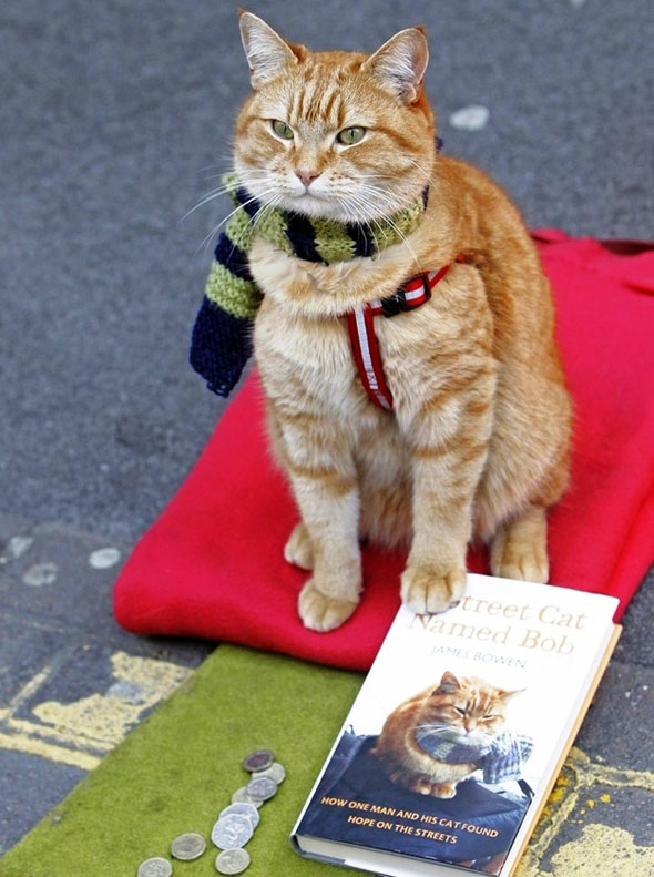 James Bowen & Bob The Street Cat : Conte de Fées Londonien