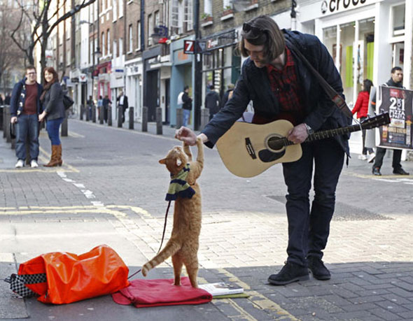 James Bowen & Bob The Street Cat : Conte de Fées Londonien