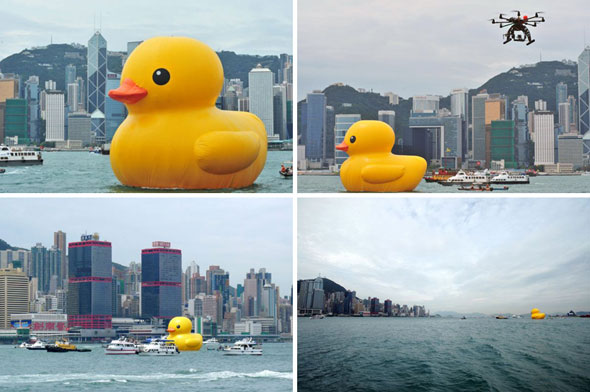 Rubber Duck Florentijn Hofman Canard Geant