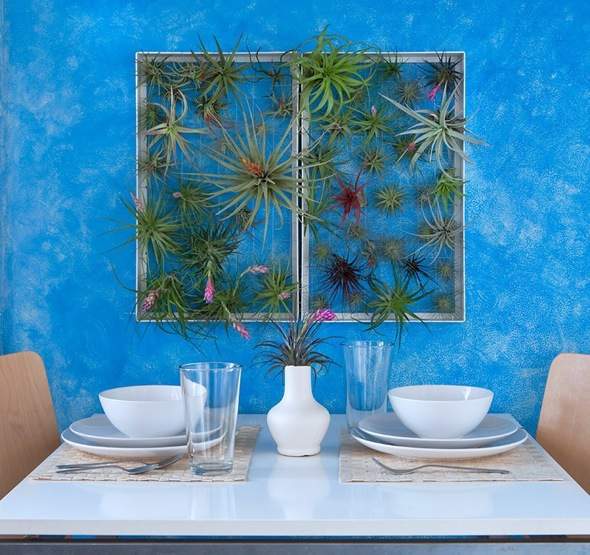 Airplantman-Frame-Mini-Jardins-Verticaux-Plantes-Vertes-10