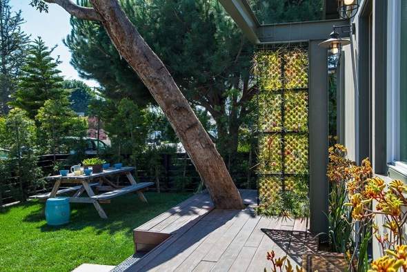 Airplantman-Frame-Mini-Jardins-Verticaux-Plantes-Vertes-13